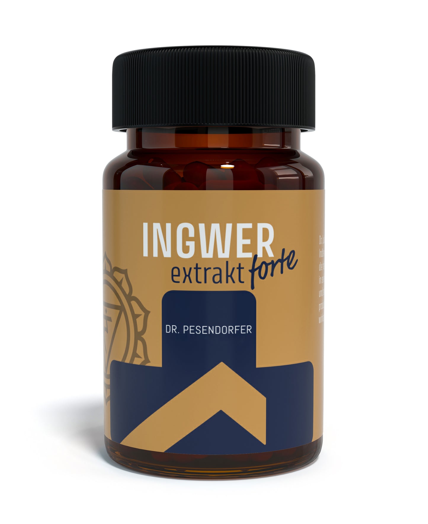 Ingwer extract forte Kapseln